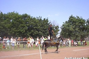 taxisnap_2006 071.JPG